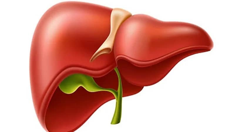 استشاري يوجه نصيحة للمصابين بفيروس الكبد بي الخامل