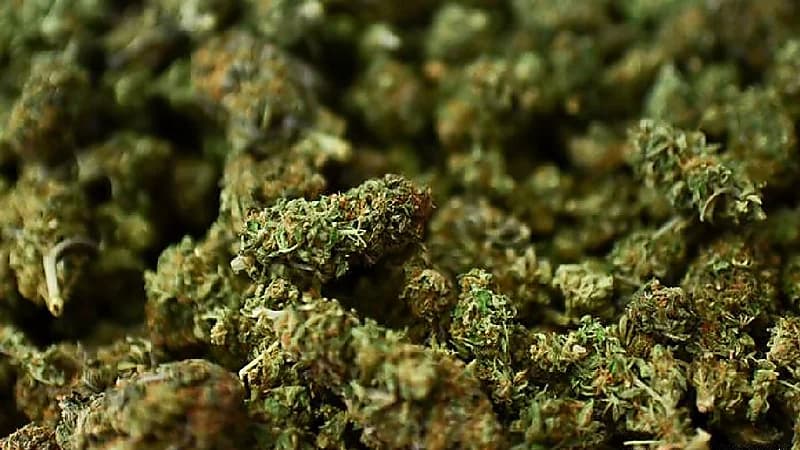 إحباط محاولتي تهريب 1.029 كيلوجرام من "مادة الماريجوانا