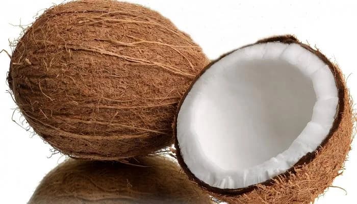 لب فاكهة جوز الهند الاستوائية محظور علي الطائرات