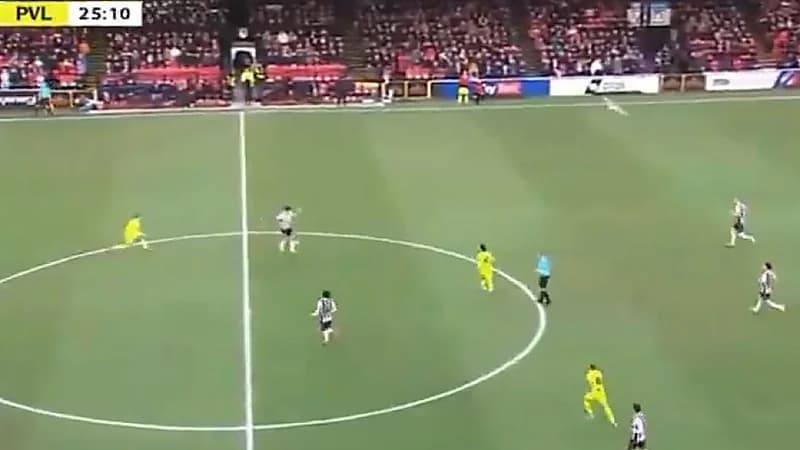 طائر يساهم في هجمة مرتدة خلال مباراة غريمسبي تاون وبورت فايل ..فيديو