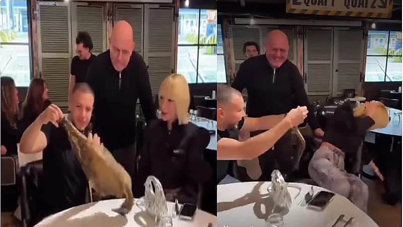 لاعب خفة يحول منديل أحد المطاعم إلى ثعبان.. فيديو
