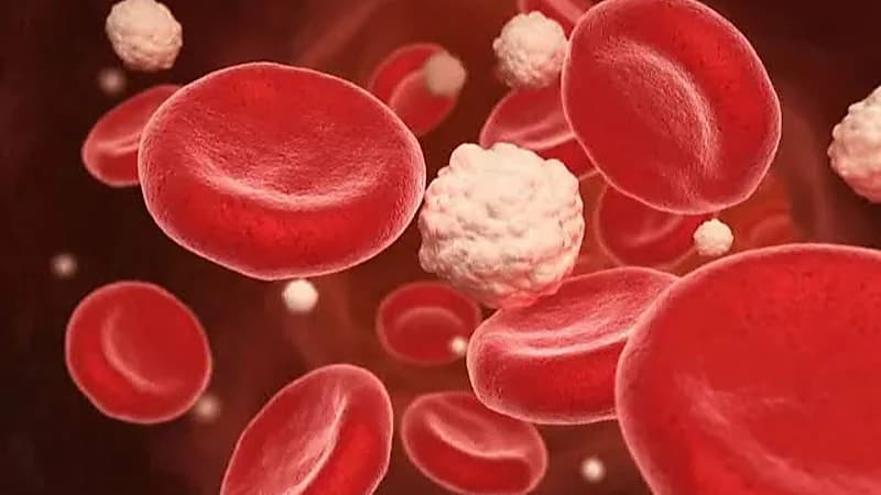 اكتشاف خلايا دهنية في البطن تساعد في حل لغز السمنة ومقاومة الأنسولين