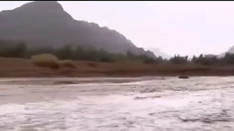 العقيل: استمرار الحالة المطرية حتى صباح يوم غد ..فيديو