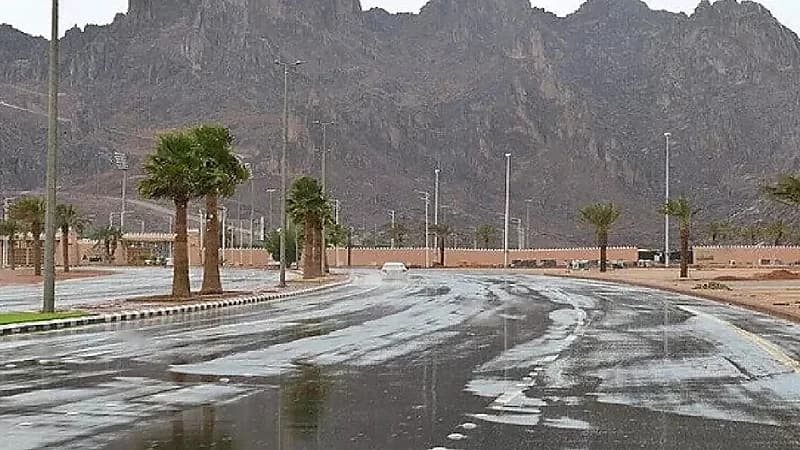 المسند ينبه بموعد انتهاء موسم الأمطار