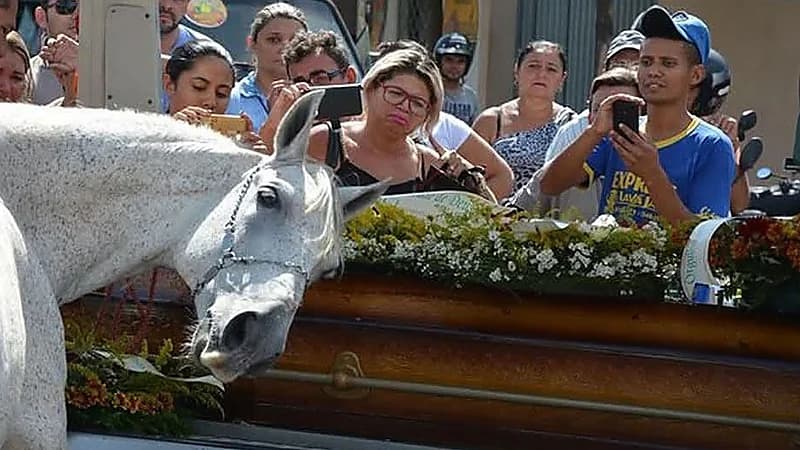 حصان يحضر جنازة صاحبه الذي توفى بشكل مفاجئ ..صور