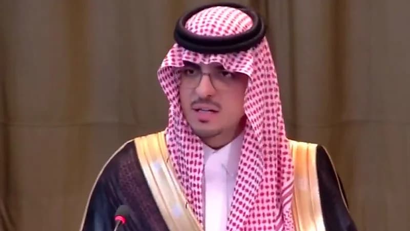 الناصر أمام العدل الدولية: إسرائيل تقتل الأبرياء في غزة باستخدام الذكاء الاصطناعي .. فيديو