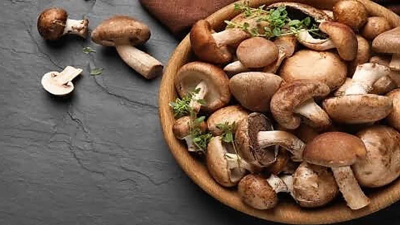 3 فوائد صحية فعالة لتناول المشروم
