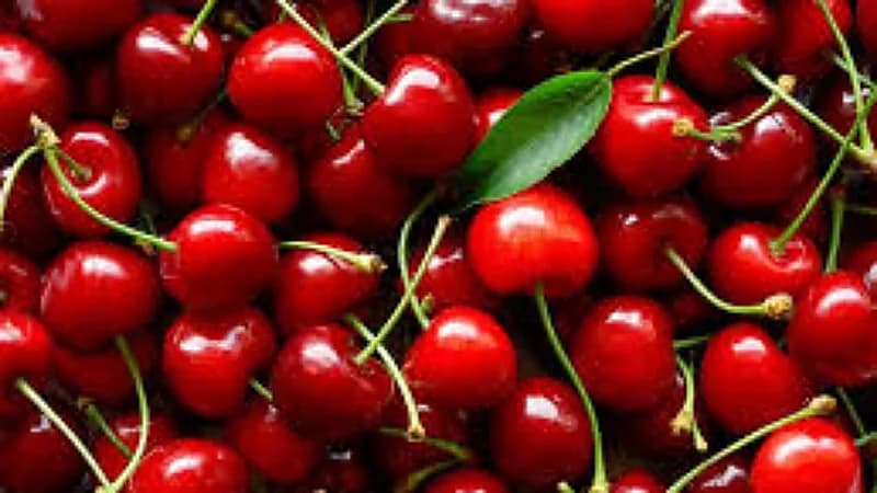 3 أطعمة تساهم في خفض نسبة حمض اليوريك في الجسم .. فيديو