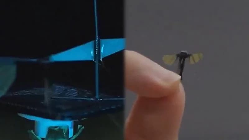 الجيش الصيني يكشف عن طائرة مسيرة بحجم البعوضة.. فيديو