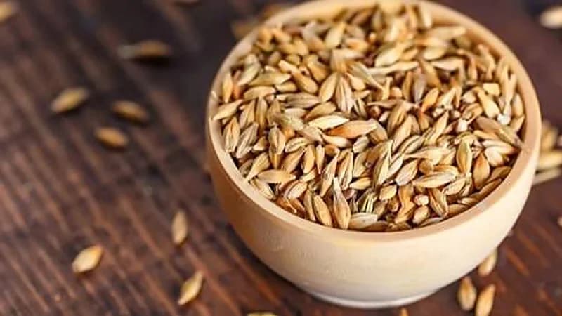 خبيرة: الشعير يحارب الكولسترول والاكتئاب ولا يغني عنه مشروب البيرة