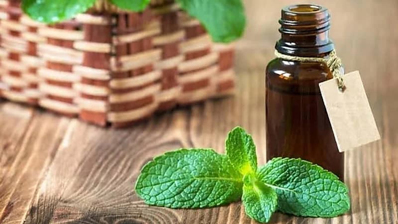 وصفة شعبية كادت تودي بساق سيدة تركية ..صورة