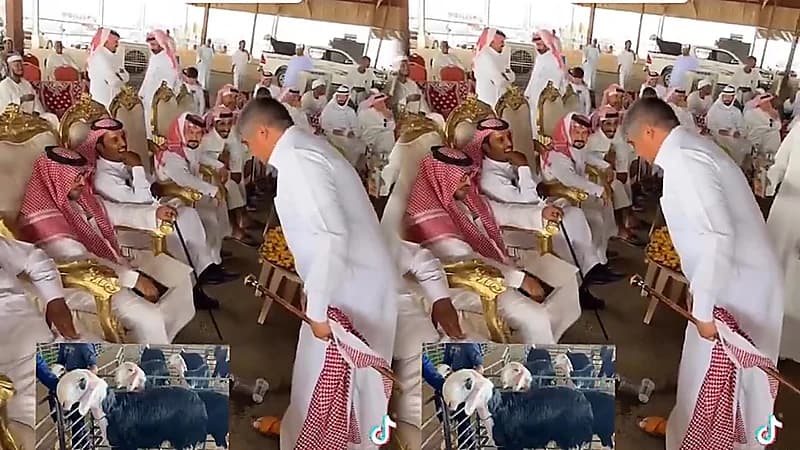 خروف في مزاد حائل بمبلغ ٢٩٥٠٠ ريال..فيديو