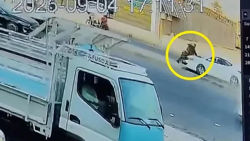 مشهد مروع لفتاة تدهس شرطياً وتحطم 3 سيارات ..فيديو