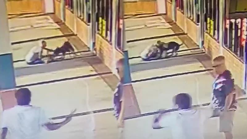 مسنة تعض كلب بيتبول لانقاذ كلبها الأليف