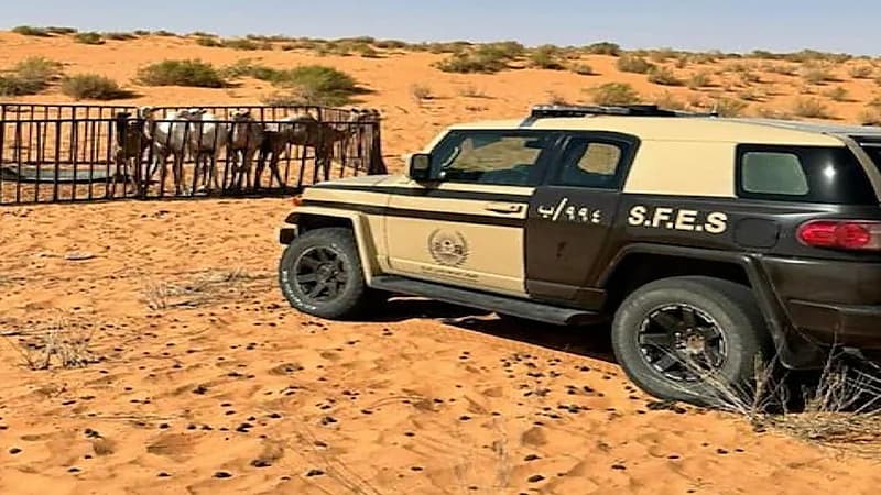 ضبط مخالفين لنظام البيئة