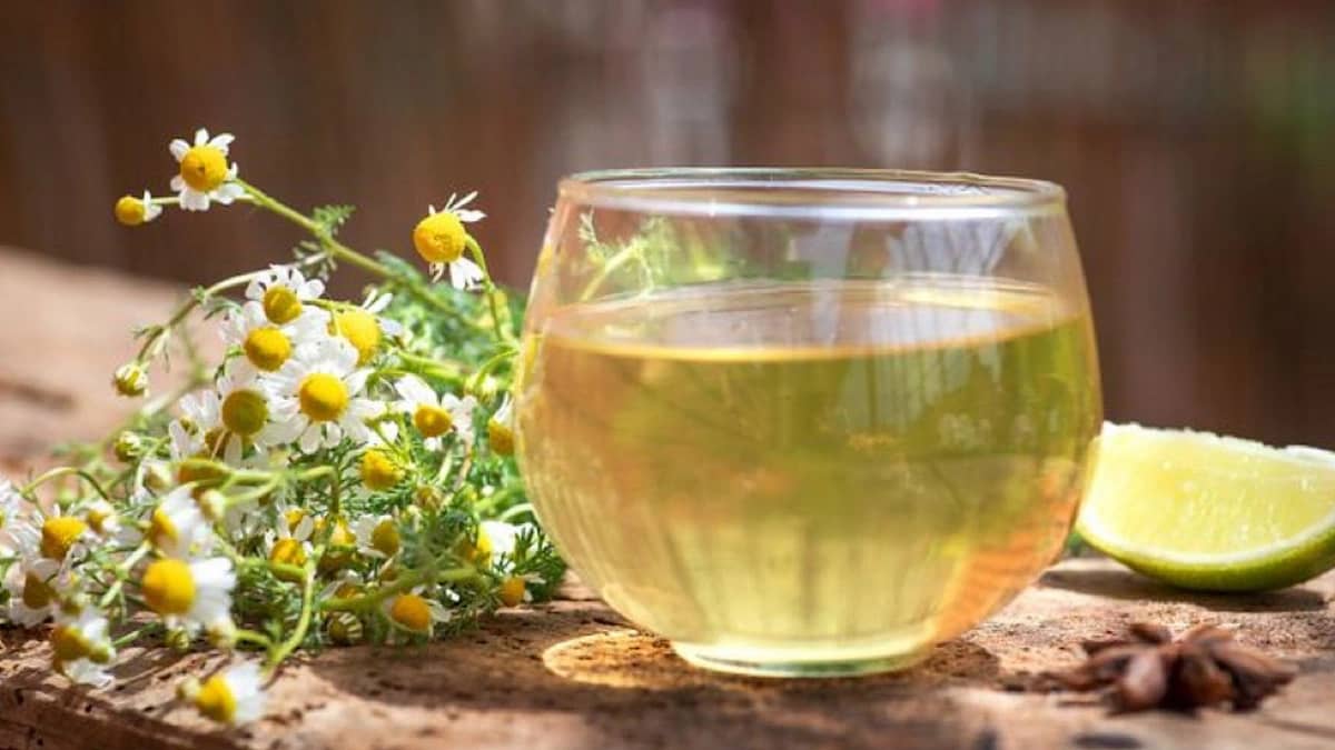 أضرار الإفراط في تناول البابونج