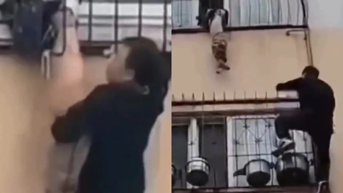 WhatsApp Image 2025-10-29 at 10.50.12 PM.jpeg