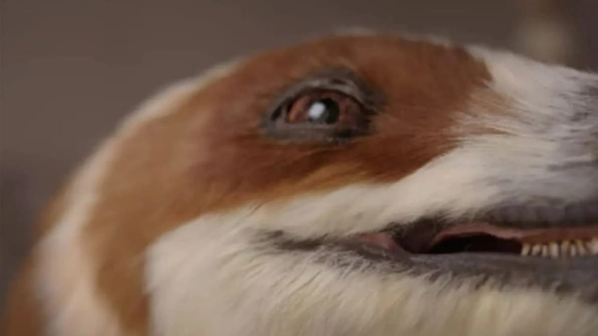 WhatsApp Image 2025-10-31 at 9.28.21 PM.jpeg