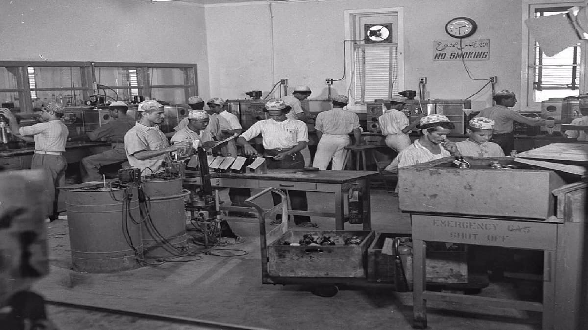 WhatsApp Image 2025-11-07 at 6.52.43 PM.jpeg