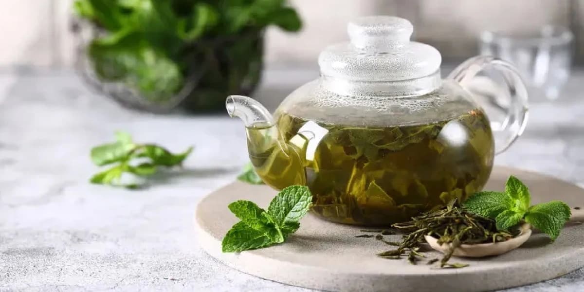 WhatsApp Image 2025-11-09 at 7.47.26 PM.jpeg