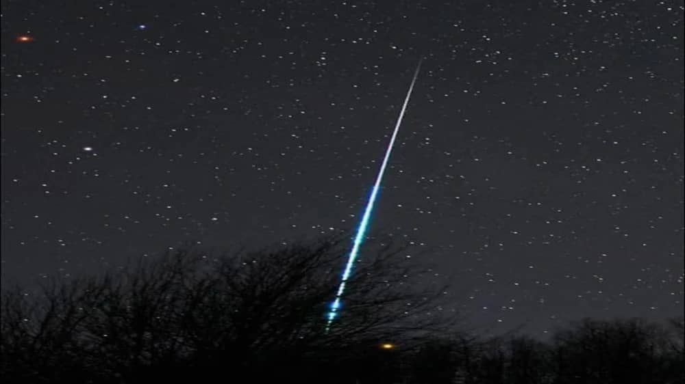 WhatsApp Image 2025-12-13 at 2.04.11 PM.jpeg