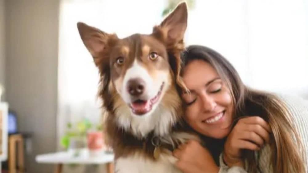 دراسة حديثة : بعض الكلاب تستطيع تعلّم الكلمات عبر الاستماع للمحادثات