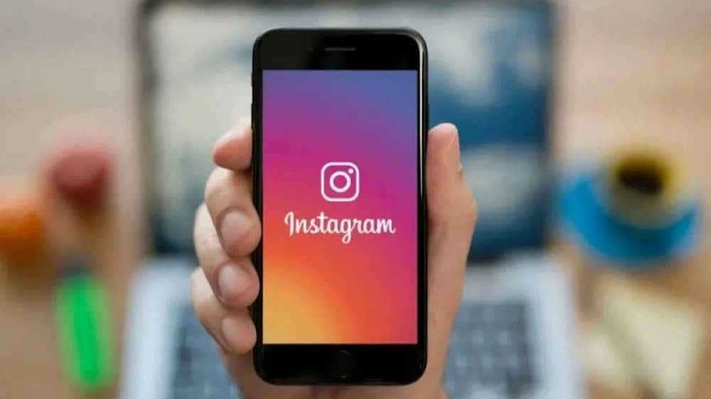 WhatsApp Image 2026-01-11 at 6.27.40 PM.jpeg