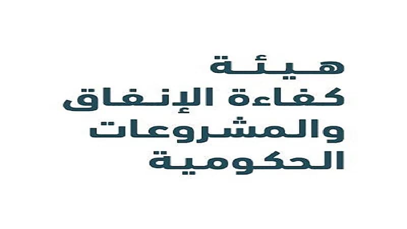 سبب دمج برنامج مشروعات ومركز تحقيق كفاءة الإنفاق في هيئة