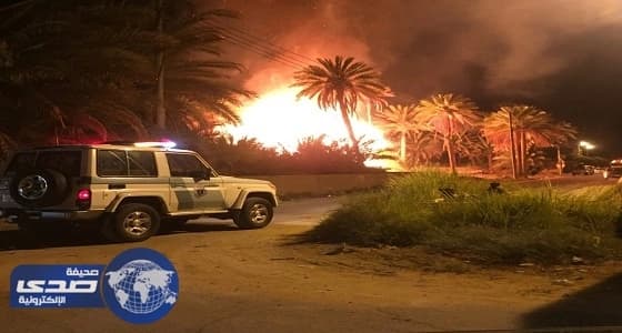إحالة ثلاثة أحرقوا مزارع نخيل دومة الجندل إلي النيابة
