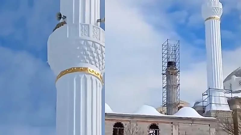 ثعلب يعطل مكبر الصوت في أحد المساجد .. فيديو