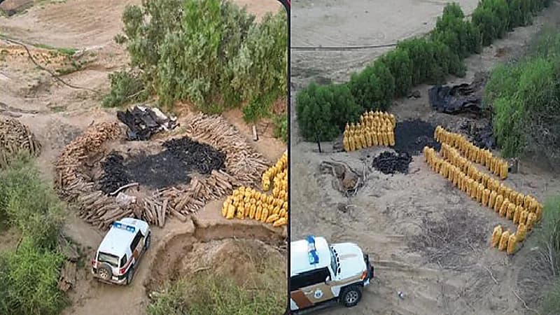 ضبط 4 مقيمين مخالفين لنظام البيئة في القنفذة.. فيديو