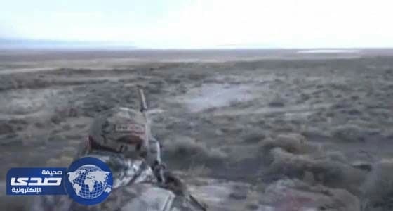 بالفيديو.. حيلة ماكرة لصيادين تمكنهم من صيد قطيع كامل من الذئاب