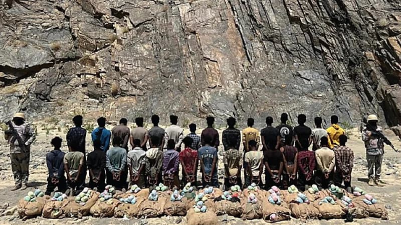 القبض على مخالفين لتهريبهم القات والحشيش في 4 مناطق