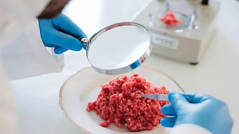 مقترح زراعة اللحوم بمصر يثير جدًلا واسعًا عبر مواقع التواصل