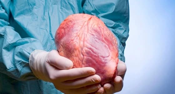 المملكة تحارب تجارة زراعة الأعضاء وتدرج 80 شخصًا على القائمة السوداء