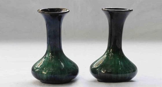 قاتل يحتفظ بأشلاء ضحاياه في " أوان الزهور "