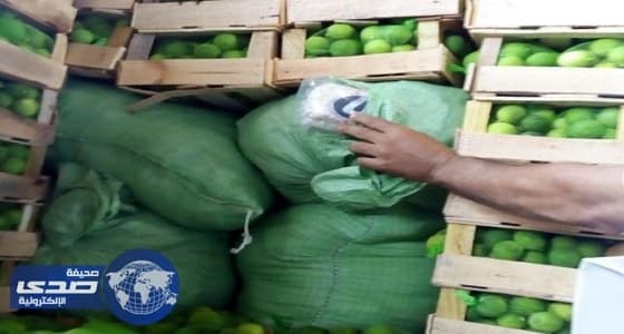 جمرك ضباء يحبط تهريب 1.6 مليون حبة كبتاجون