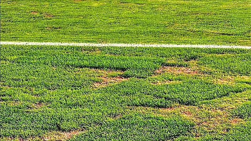 رئیس نساجي: ملعب آزادي غير مناسب للقاء الهلال