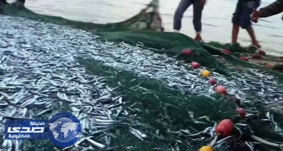 الزراعة تطور 16 مرفأ لصيد الأسماك