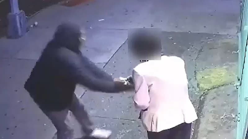 شاهد .. لص يسرق محفظة مسنة أثناء تقديمها المال لمساعدته في نيويورك