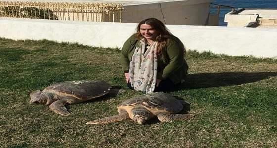 مصريون يشربون دم السلحفاة المهددة بالانقراض ..والسبب العلاقات الجنسية