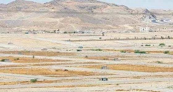 خبير اقتصادي : رسوم الأراضي تقضي على المضاربة وتكبح الأسعار